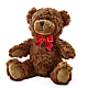 Adorable Plush Bear – Joyce Florist Of Dallas Inc, Dallas TX