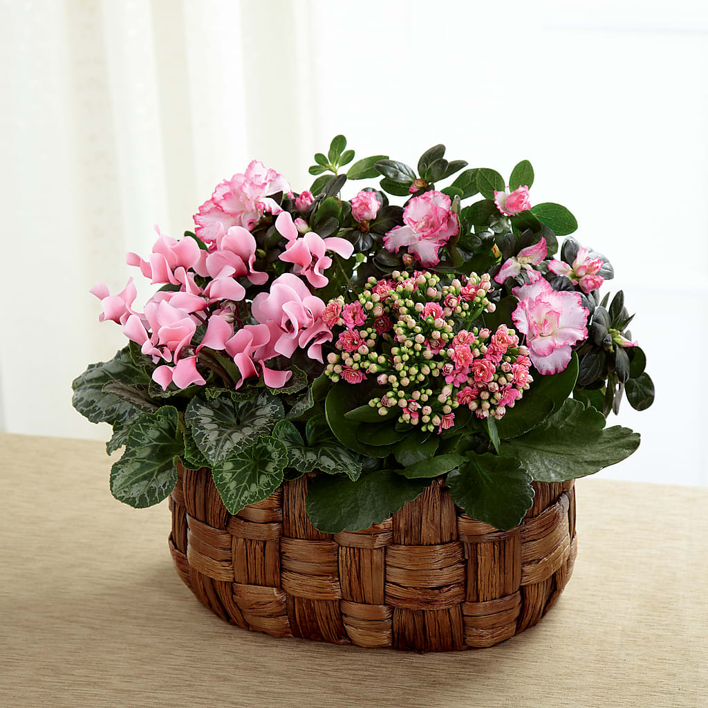 Pink Assortment – Joyce Florist Of Dallas Inc, Dallas TX