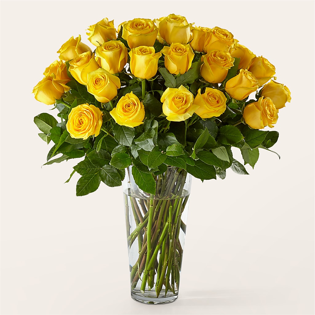 Long Stem Yellow Rose Bouquet – Joyce Florist Of Dallas Inc, Dallas TX