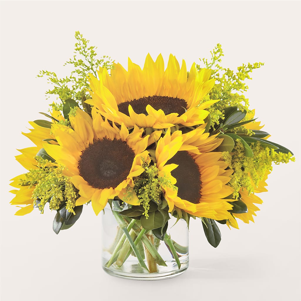 Beaming Sunflower Bouquet – Joyce Florist Of Dallas Inc, Dallas TX