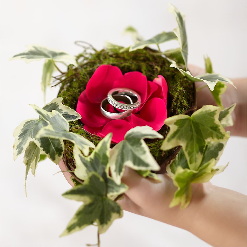 Lila Rose Ring Nest – Joyce Florist Of Dallas Inc, Dallas TX