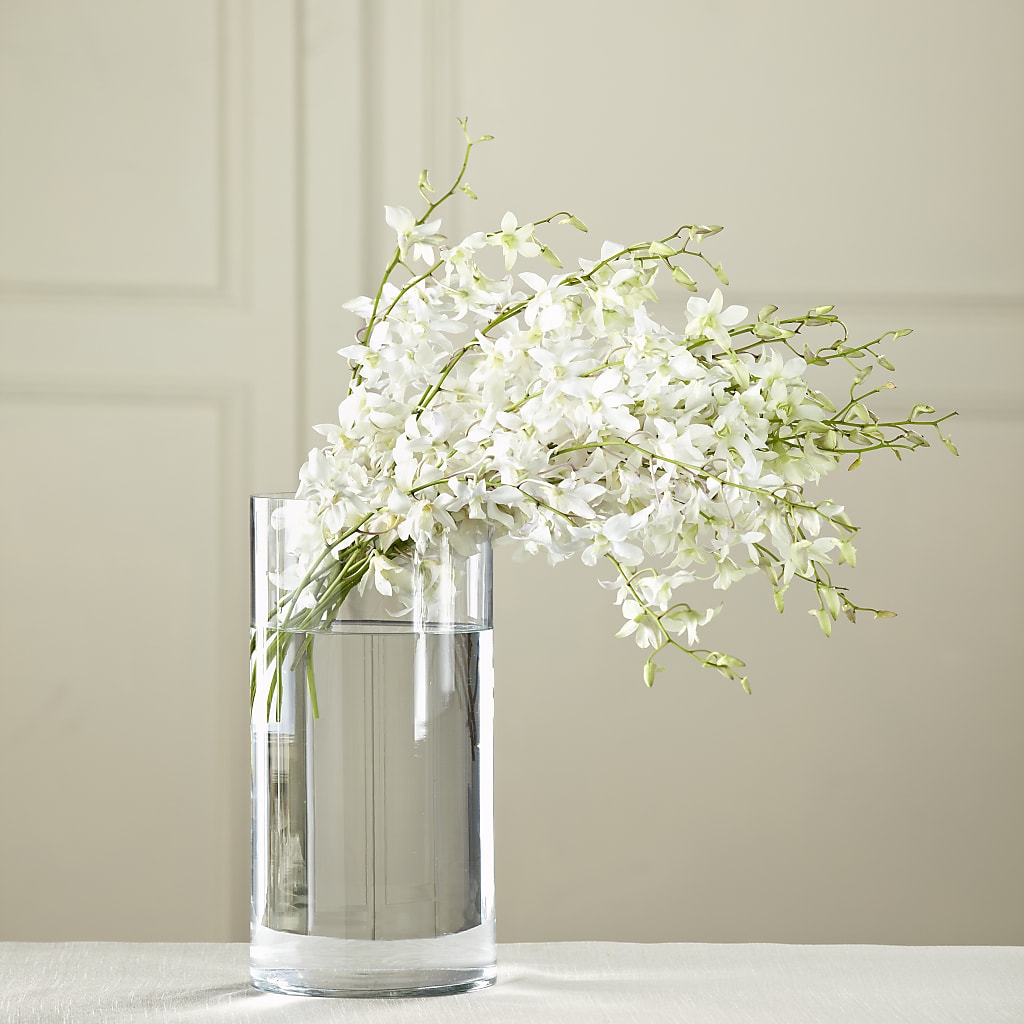 White Dendrobium Bouquet – Joyce Florist Of Dallas Inc, Dallas TX