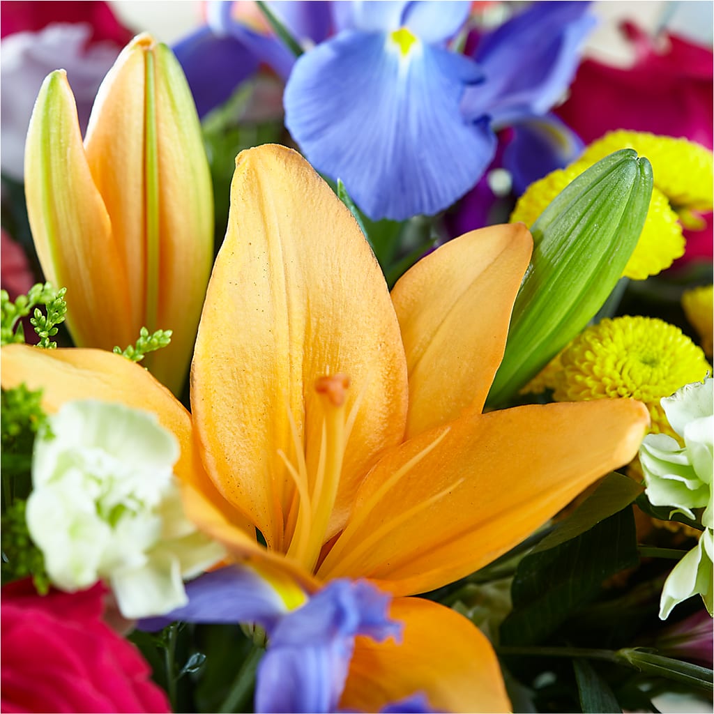 Bold & Bright – A Florist Original –  Joyce Florist Of Dallas Inc, Dallas TX