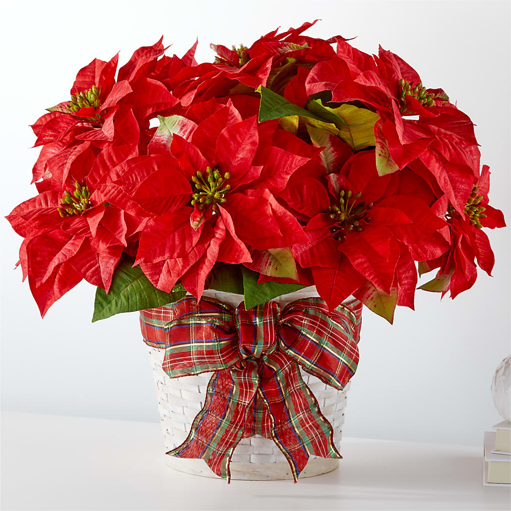 Happiest Holidays Poinsettia –  Joyce Florist Of Dallas Inc, Dallas TX