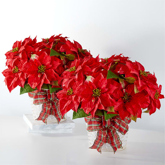 Happiest Holidays Poinsettia Bundle –  Joyce Florist Of Dallas Inc, Dallas TX