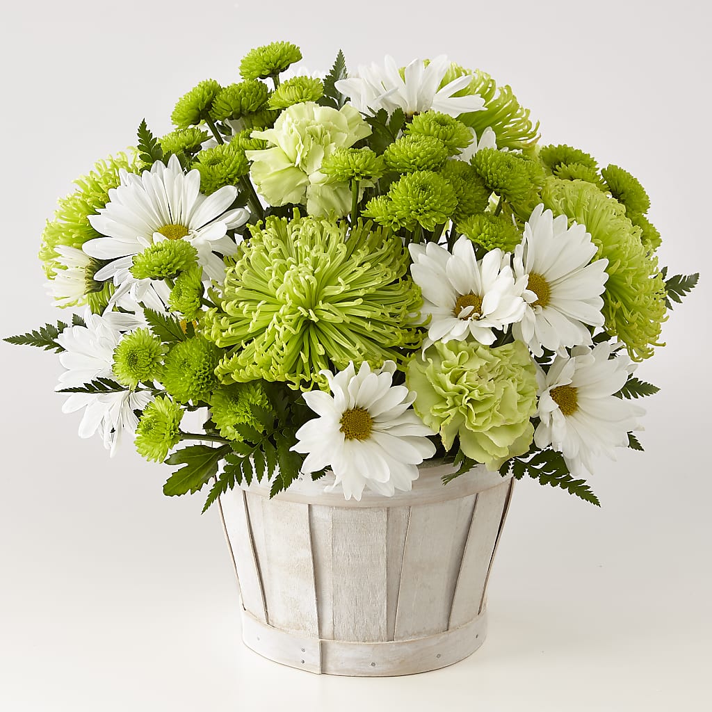 Lucky Charm Basket (Standard) –  Joyce Florist Of Dallas Inc, Dallas TX
