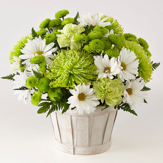Lucky Charm Basket (Standard) –  Joyce Florist Of Dallas Inc, Dallas TX