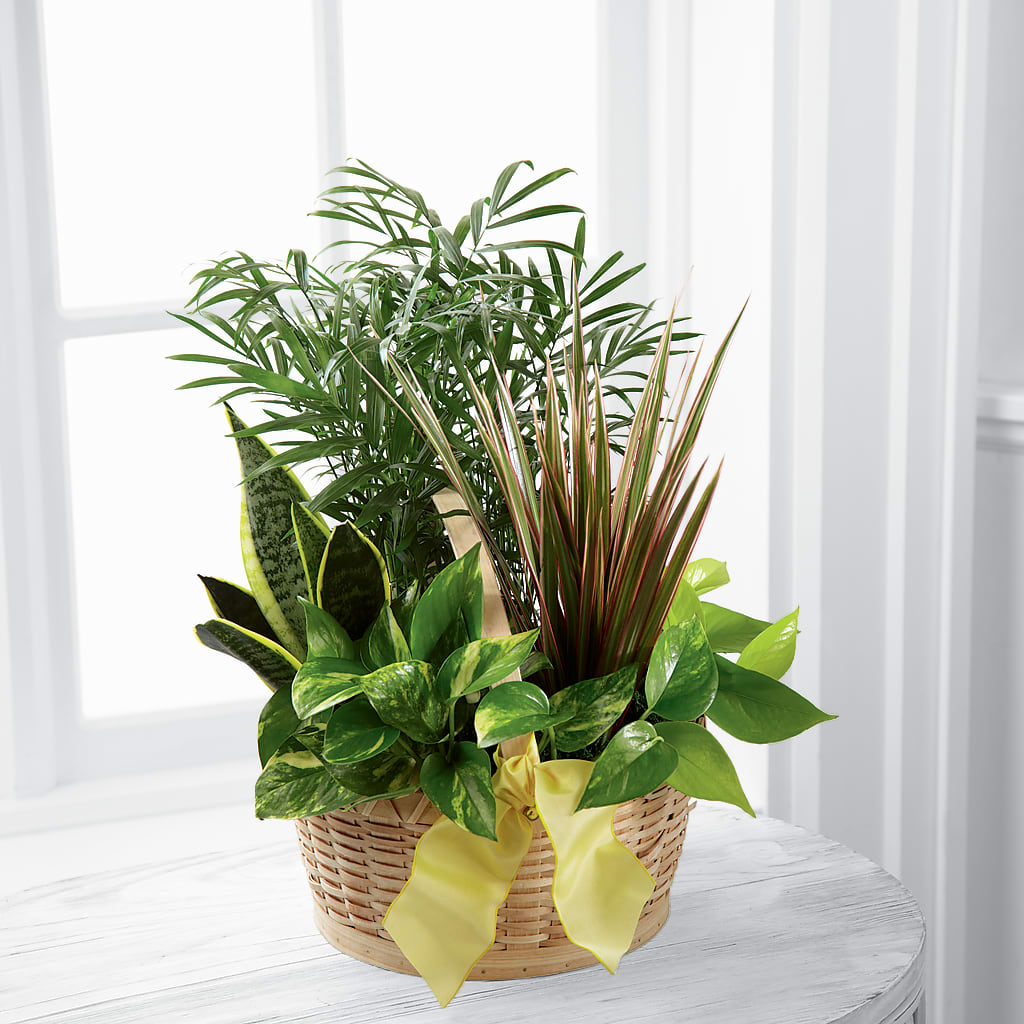 French Garden –  Joyce Florist Of Dallas Inc, Dallas TX