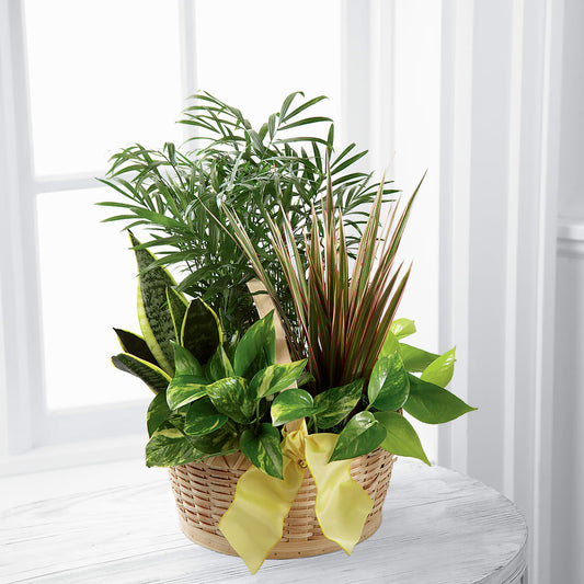 French Garden –  Joyce Florist Of Dallas Inc, Dallas TX