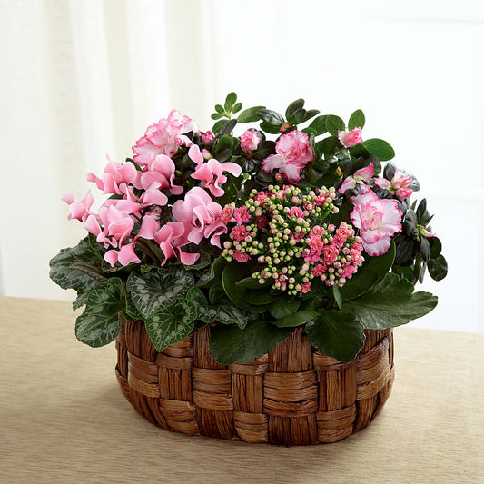 Pink Assortment –  Joyce Florist Of Dallas Inc, Dallas TX
