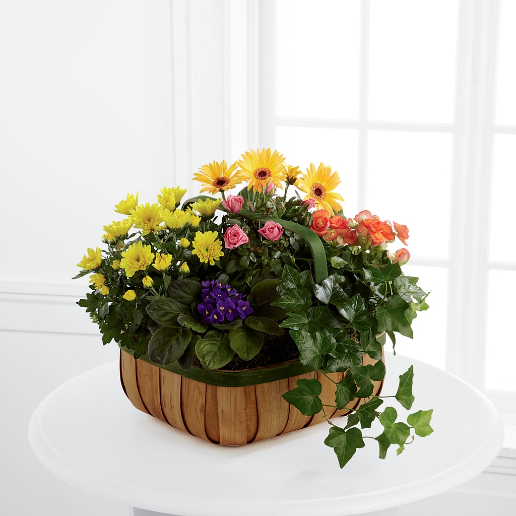 Gentle Blossoms Basket –  Joyce Florist Of Dallas Inc, Dallas TX