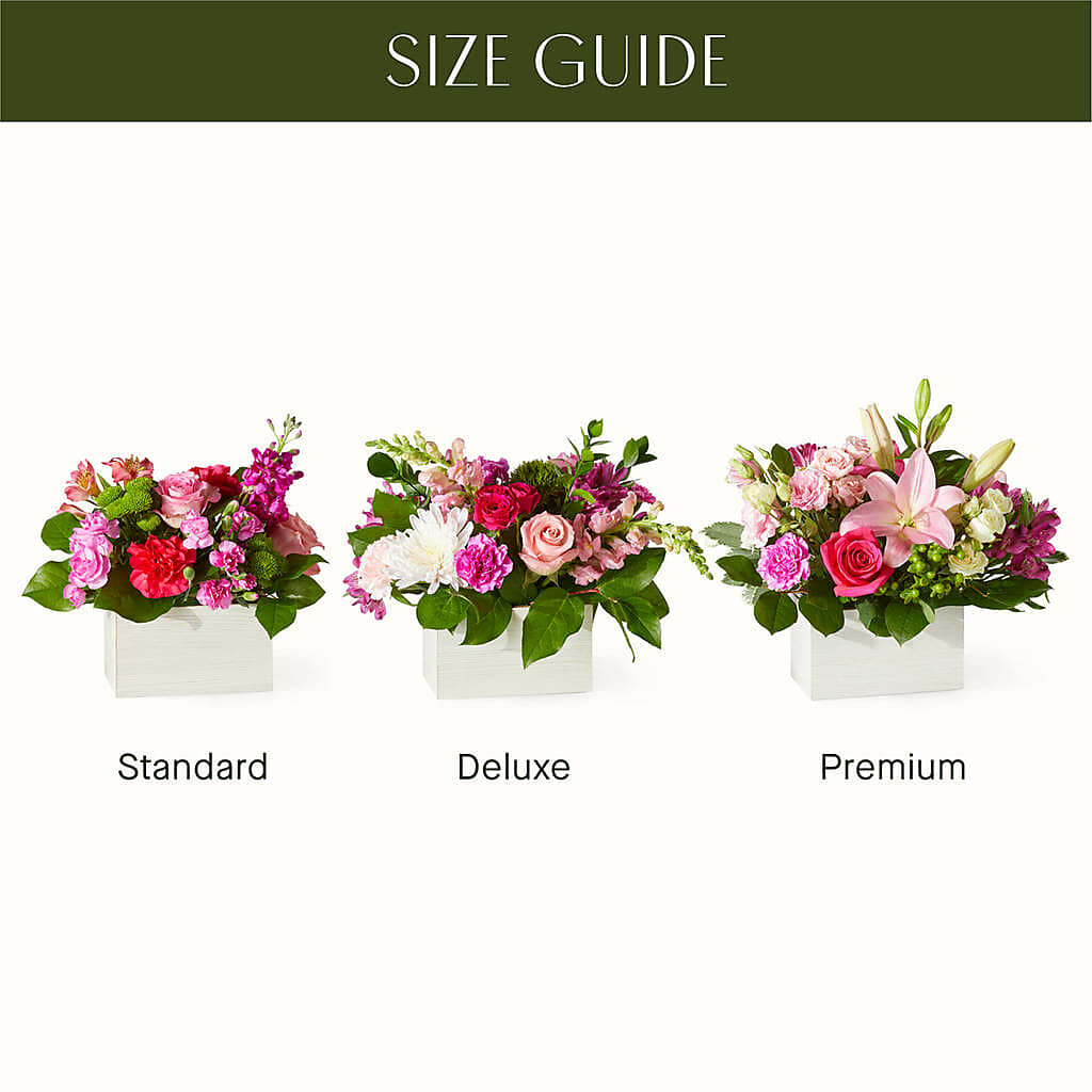 Sweetberry Box – A Florist Original –  Joyce Florist Of Dallas Inc, Dallas TX