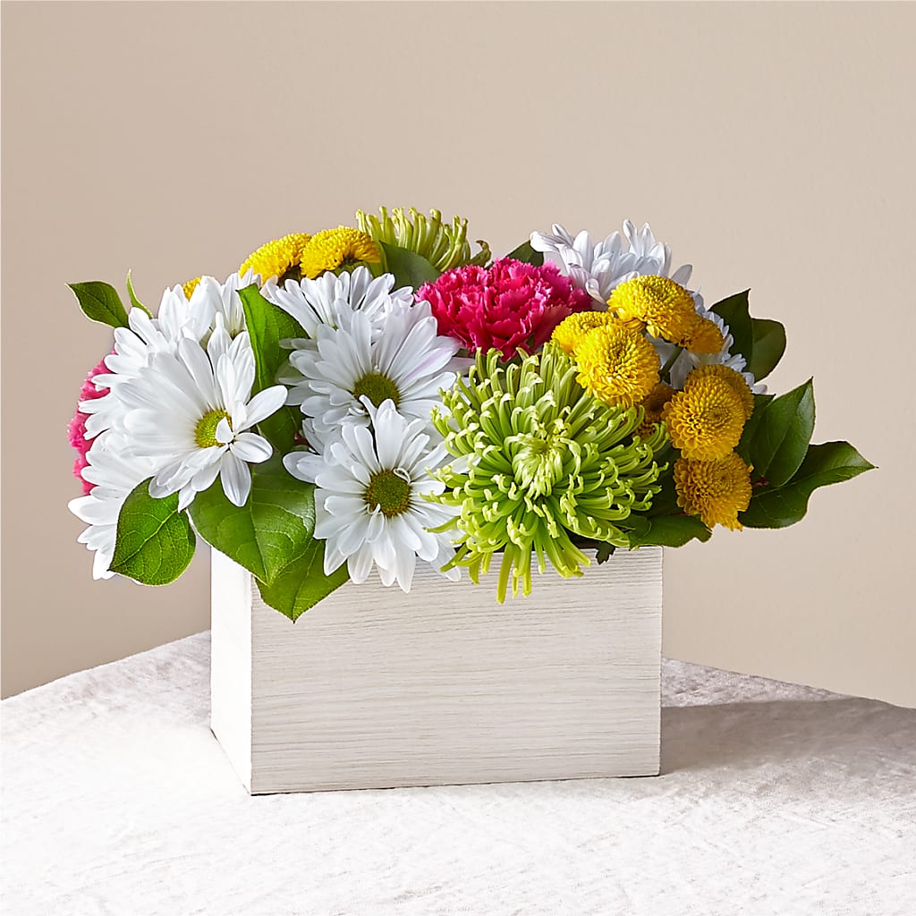 Sorbet Bouquet –  Joyce Florist Of Dallas Inc, Dallas TX