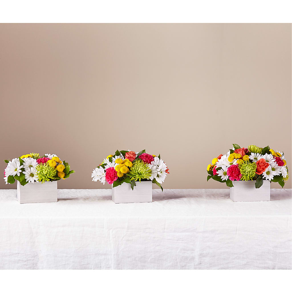 Sorbet Bouquet –  Joyce Florist Of Dallas Inc, Dallas TX