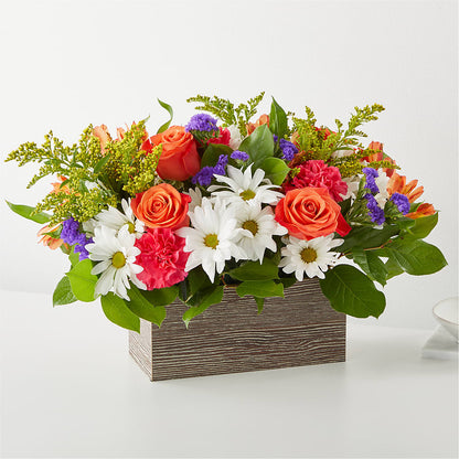 Oopsie Daisy Box Bouquet –  Joyce Florist Of Dallas Inc, Dallas TX