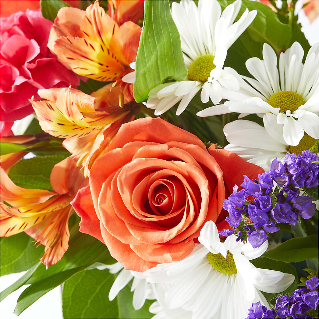 Oopsie Daisy Box Bouquet –  Joyce Florist Of Dallas Inc, Dallas TX