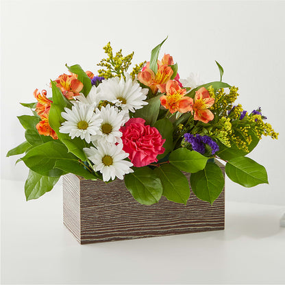 Oopsie Daisy Box Bouquet –  Joyce Florist Of Dallas Inc, Dallas TX