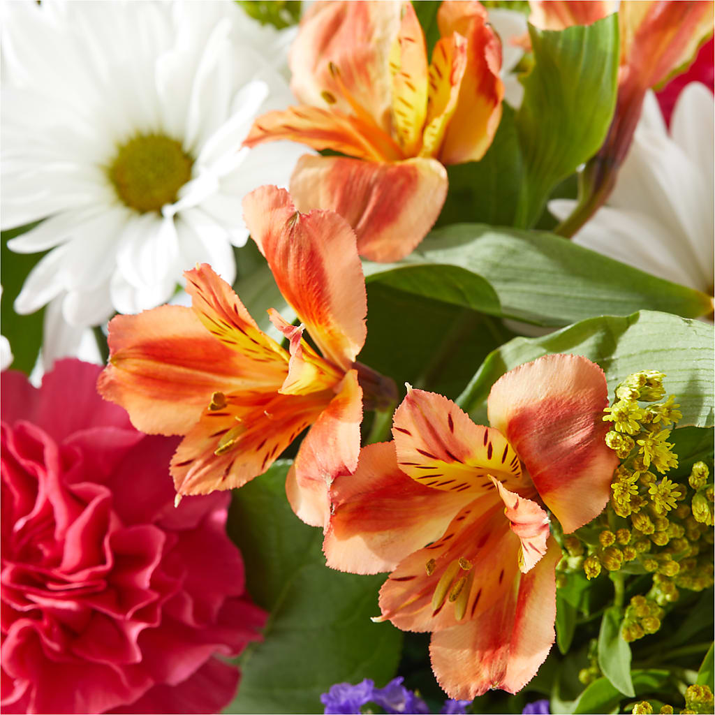 Oopsie Daisy Box Bouquet –  Joyce Florist Of Dallas Inc, Dallas TX