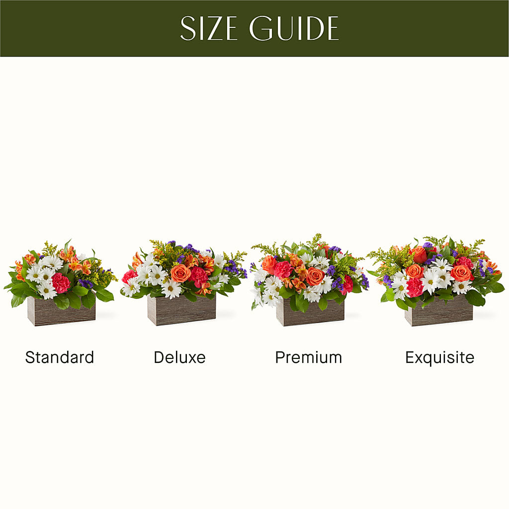 Oopsie Daisy Box Bouquet –  Joyce Florist Of Dallas Inc, Dallas TX
