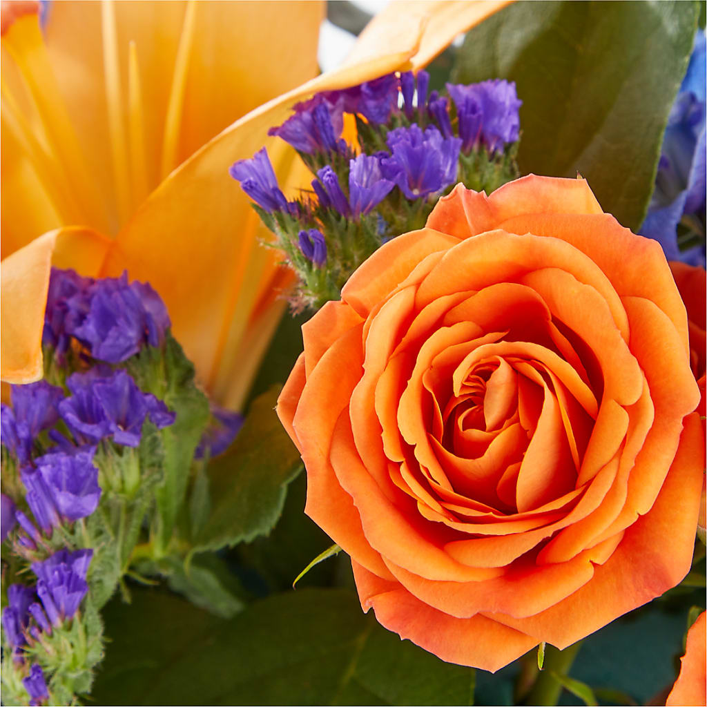 Radiant Citrus Box Bouquet –  Joyce Florist Of Dallas Inc, Dallas TX