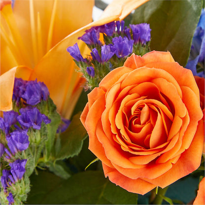 Radiant Citrus Box Bouquet –  Joyce Florist Of Dallas Inc, Dallas TX