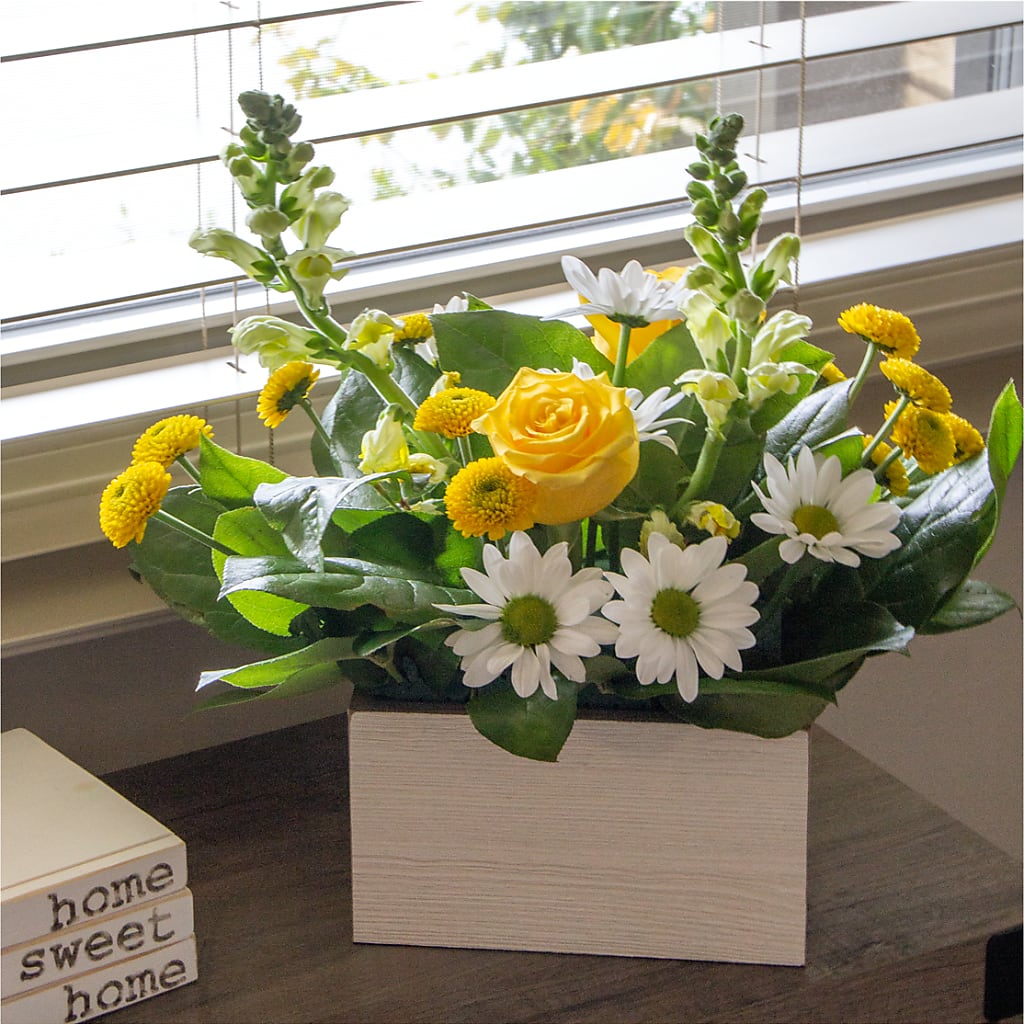 Sun Salutation Box Bouquet –  Joyce Florist Of Dallas Inc, Dallas TX