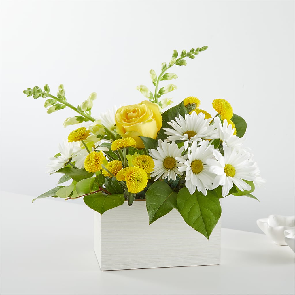 Sun Salutation Box Bouquet –  Joyce Florist Of Dallas Inc, Dallas TX
