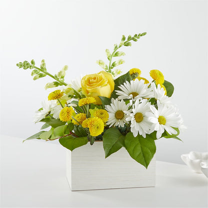 Sun Salutation Box Bouquet –  Joyce Florist Of Dallas Inc, Dallas TX