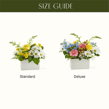 Sun Salutation Box Bouquet –  Joyce Florist Of Dallas Inc, Dallas TX