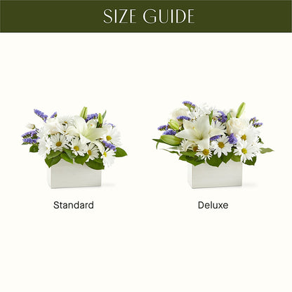 Beyond Blue Box Bouquet –  Joyce Florist Of Dallas Inc, Dallas TX