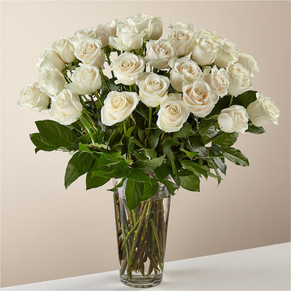 Long Stem White Rose Bouquet –  Joyce Florist Of Dallas Inc, Dallas TX