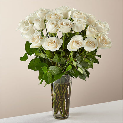Long Stem White Rose Bouquet –  Joyce Florist Of Dallas Inc, Dallas TX