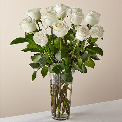 Long Stem White Rose Bouquet –  Joyce Florist Of Dallas Inc, Dallas TX