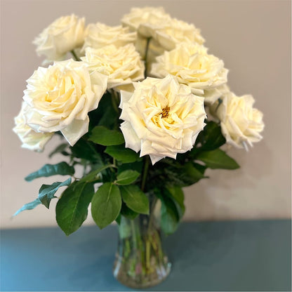 Long Stem Yellow Rose Bouquet –  Joyce Florist Of Dallas Inc, Dallas TX