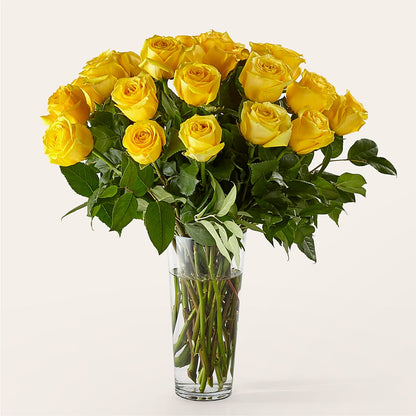 Long Stem Yellow Rose Bouquet –  Joyce Florist Of Dallas Inc, Dallas TX