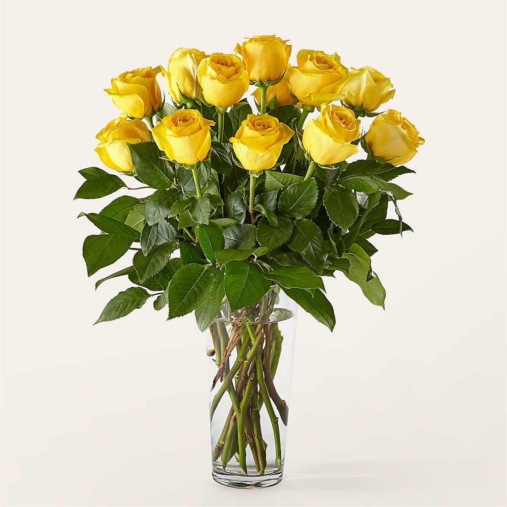 Long Stem Yellow Rose Bouquet –  Joyce Florist Of Dallas Inc, Dallas TX