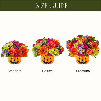 Tricks & Treats Pumpkin –  Joyce Florist Of Dallas Inc, Dallas TX