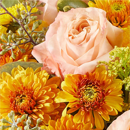 Peachy Pumpkin –  Joyce Florist Of Dallas Inc, Dallas TX