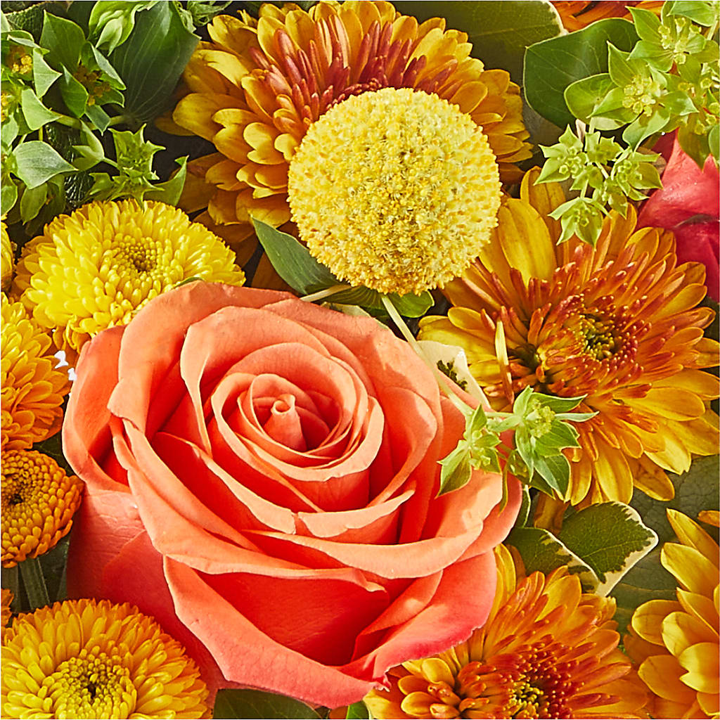 Gourdgeous Pumpkin –  Joyce Florist Of Dallas Inc, Dallas TX