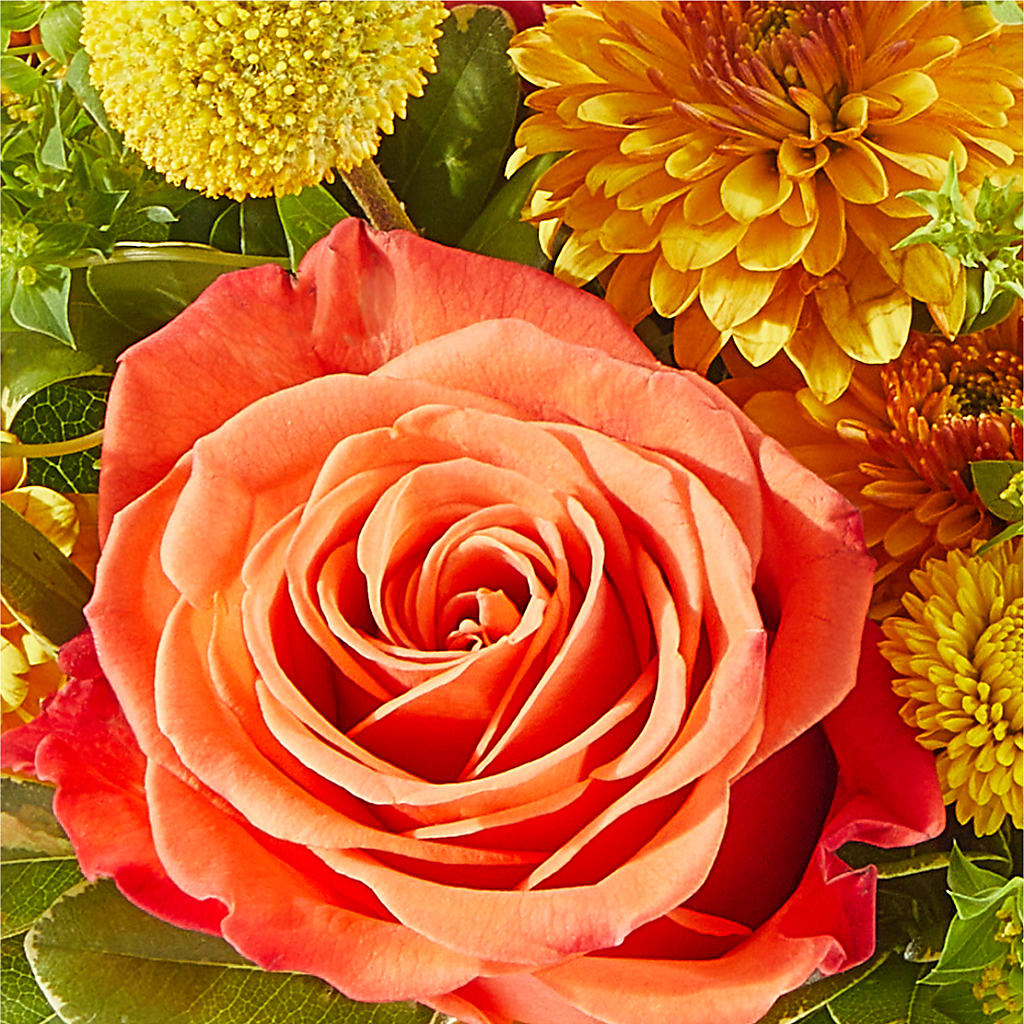 Gourdgeous Pumpkin –  Joyce Florist Of Dallas Inc, Dallas TX