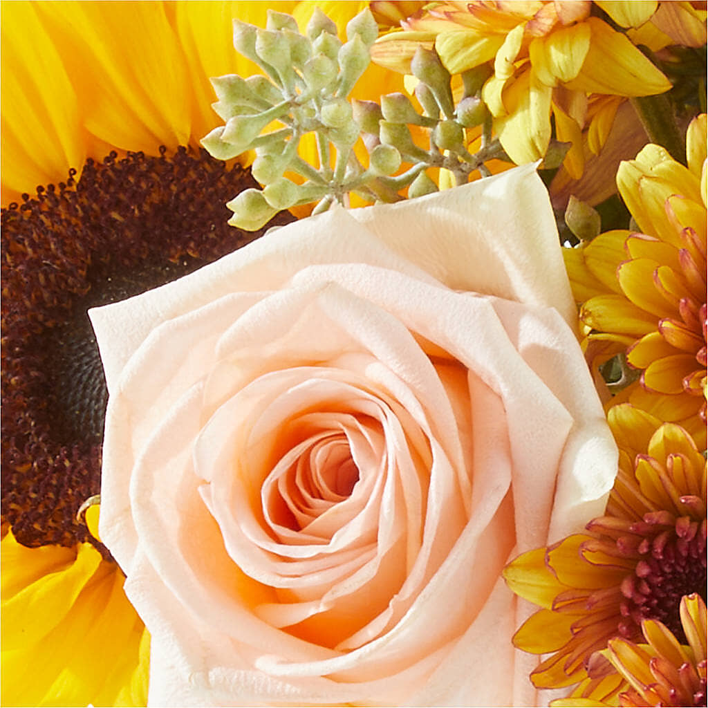 Pumpkin to Talk About Bouquet –  Joyce Florist Of Dallas Inc, Dallas TX