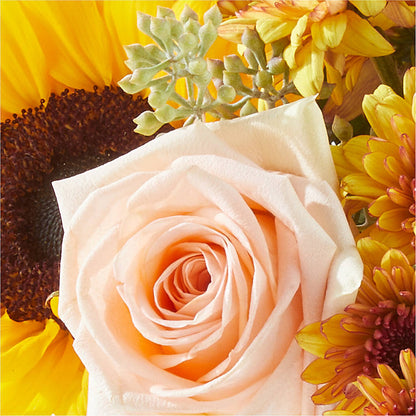 Pumpkin to Talk About Bouquet –  Joyce Florist Of Dallas Inc, Dallas TX