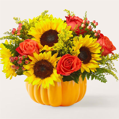 Pick of the Patch Pumpkin Bouquet –  Joyce Florist Of Dallas Inc, Dallas TX