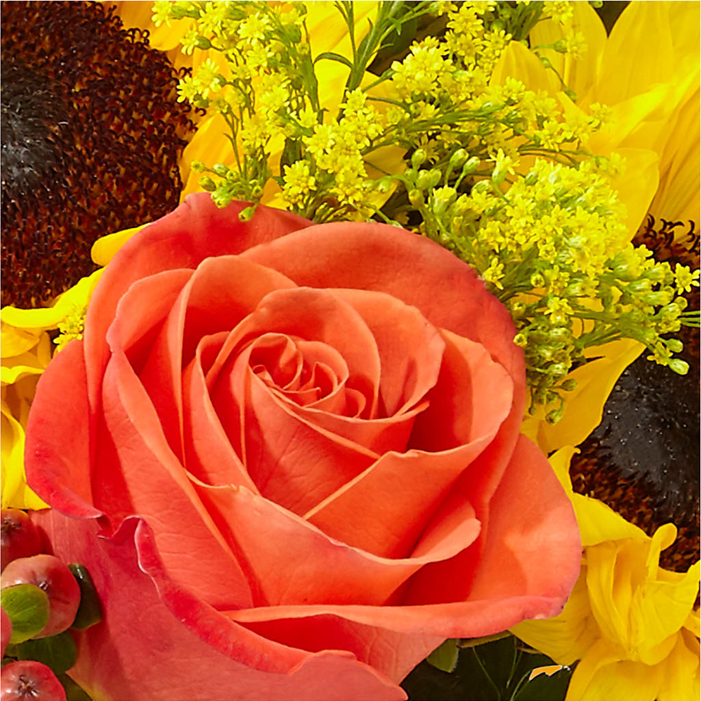 Pick of the Patch Pumpkin Bouquet –  Joyce Florist Of Dallas Inc, Dallas TX