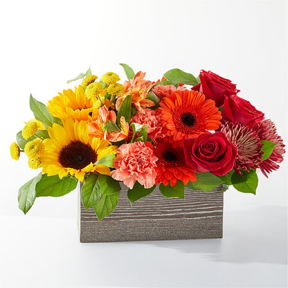 Autumn Orchard Bouquet –  Joyce Florist Of Dallas Inc, Dallas TX