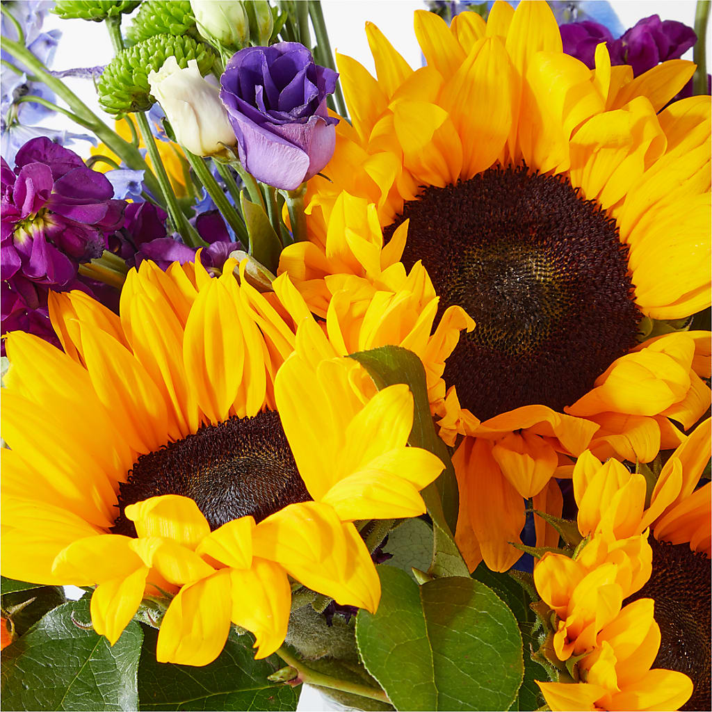 Catching Rays Bouquet –  Joyce Florist Of Dallas Inc, Dallas TX