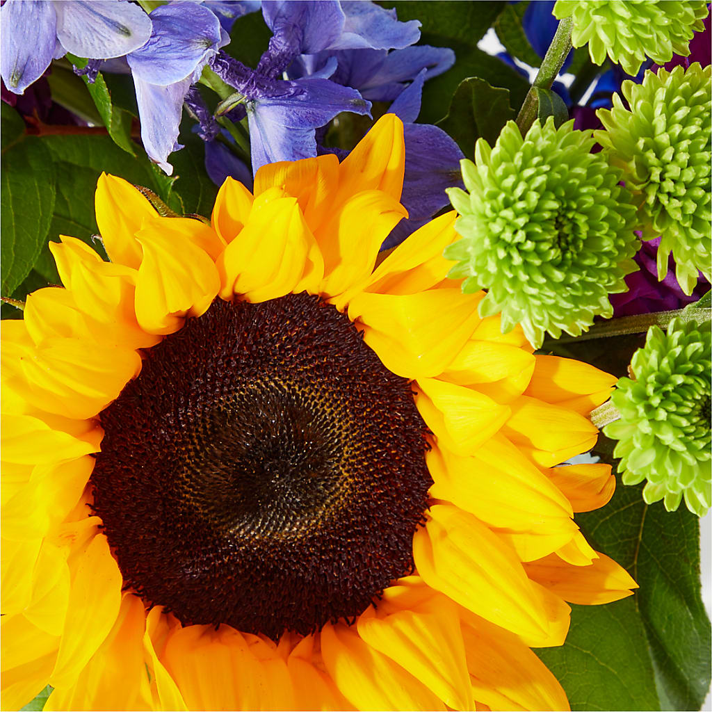 Catching Rays Bouquet –  Joyce Florist Of Dallas Inc, Dallas TX
