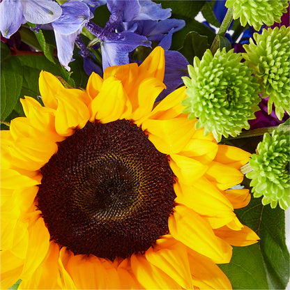 Catching Rays Bouquet –  Joyce Florist Of Dallas Inc, Dallas TX