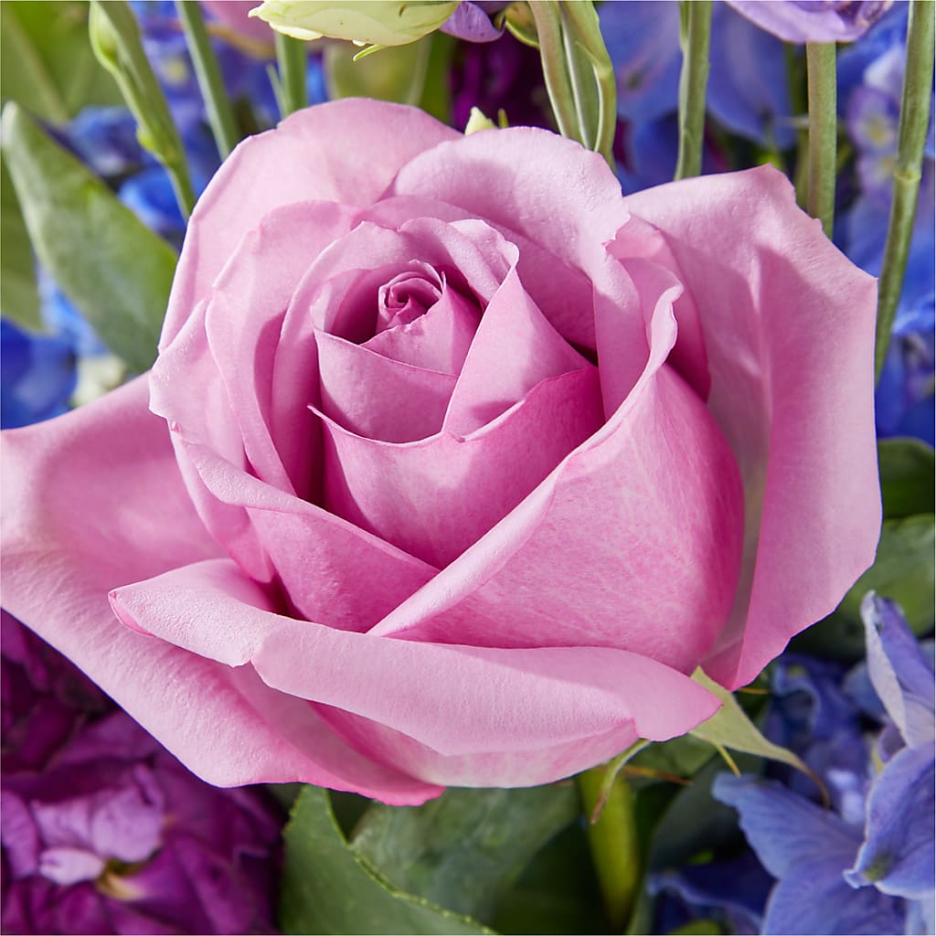 Twilight Glow Bouquet –  Joyce Florist Of Dallas Inc, Dallas TX
