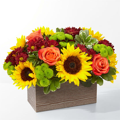 Happy Harvest Garden –  Joyce Florist Of Dallas Inc, Dallas TX
